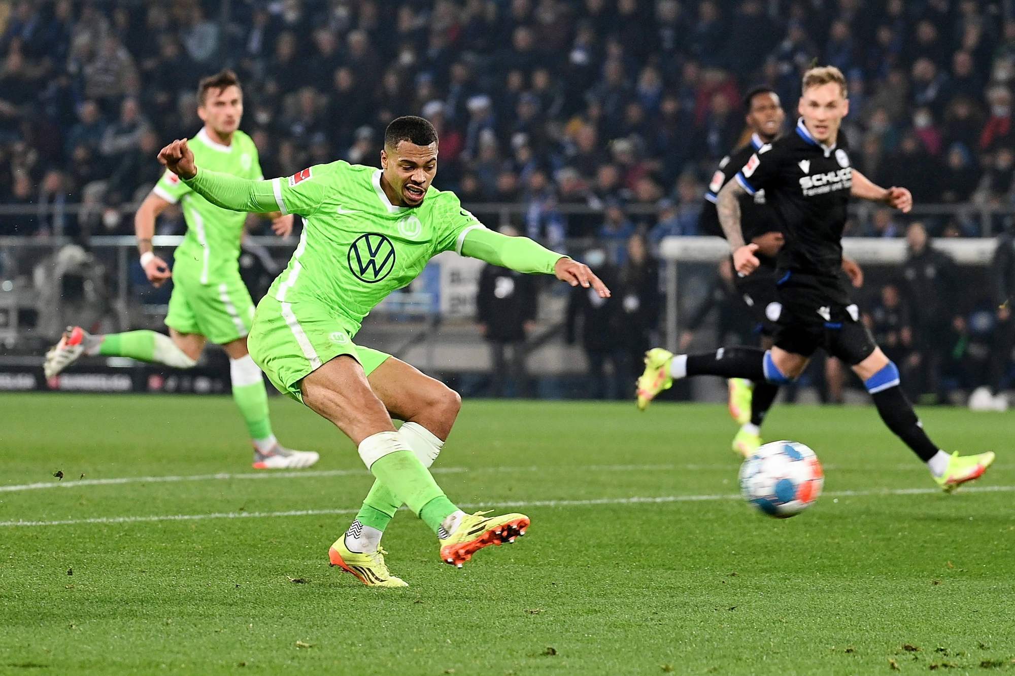 引领国际米 引领国际米