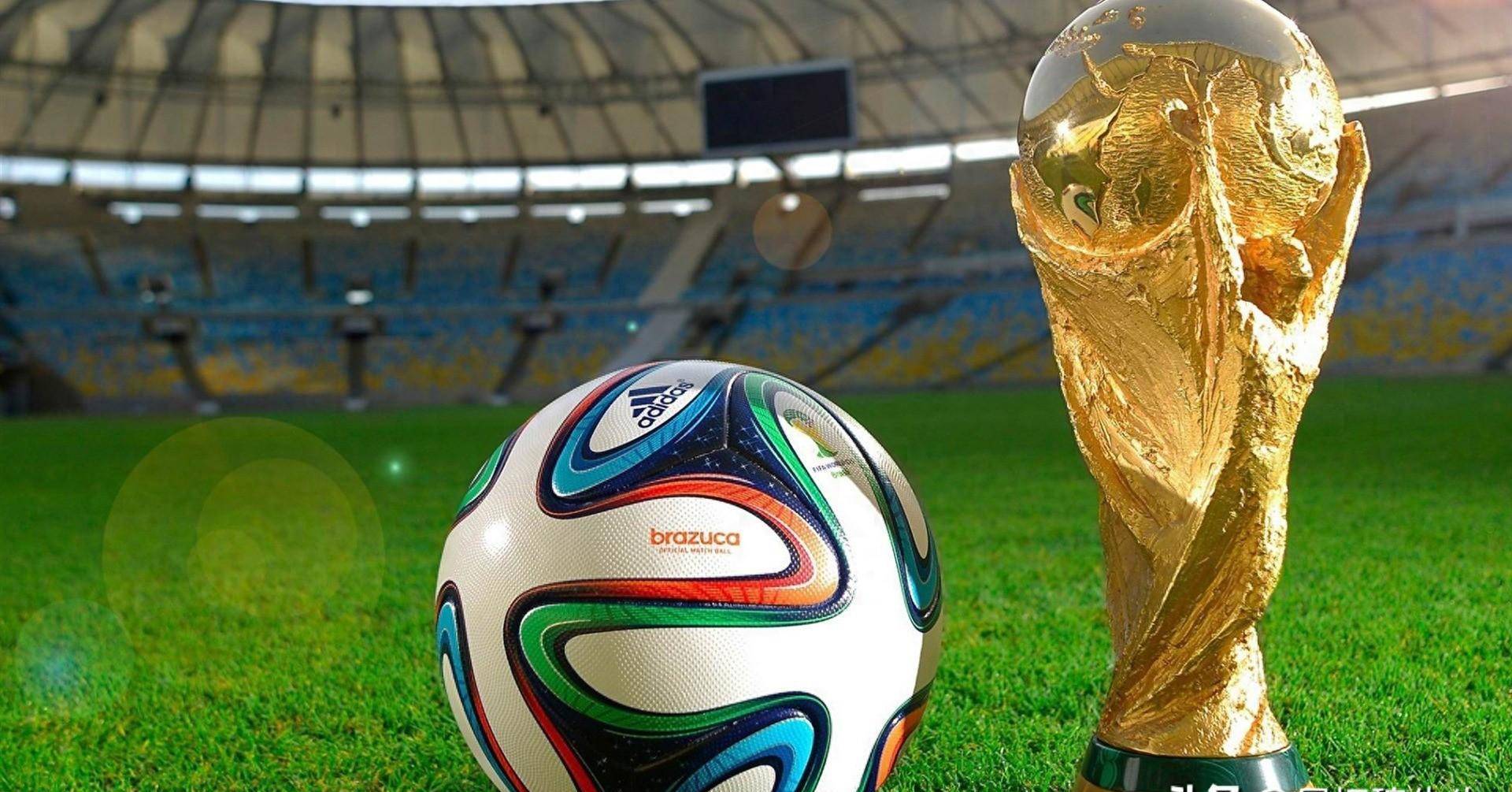 和配合的细 和配合的细