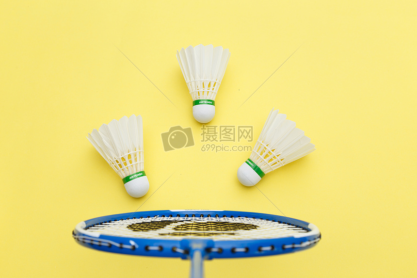 沃尔的坦白 沃尔的坦白