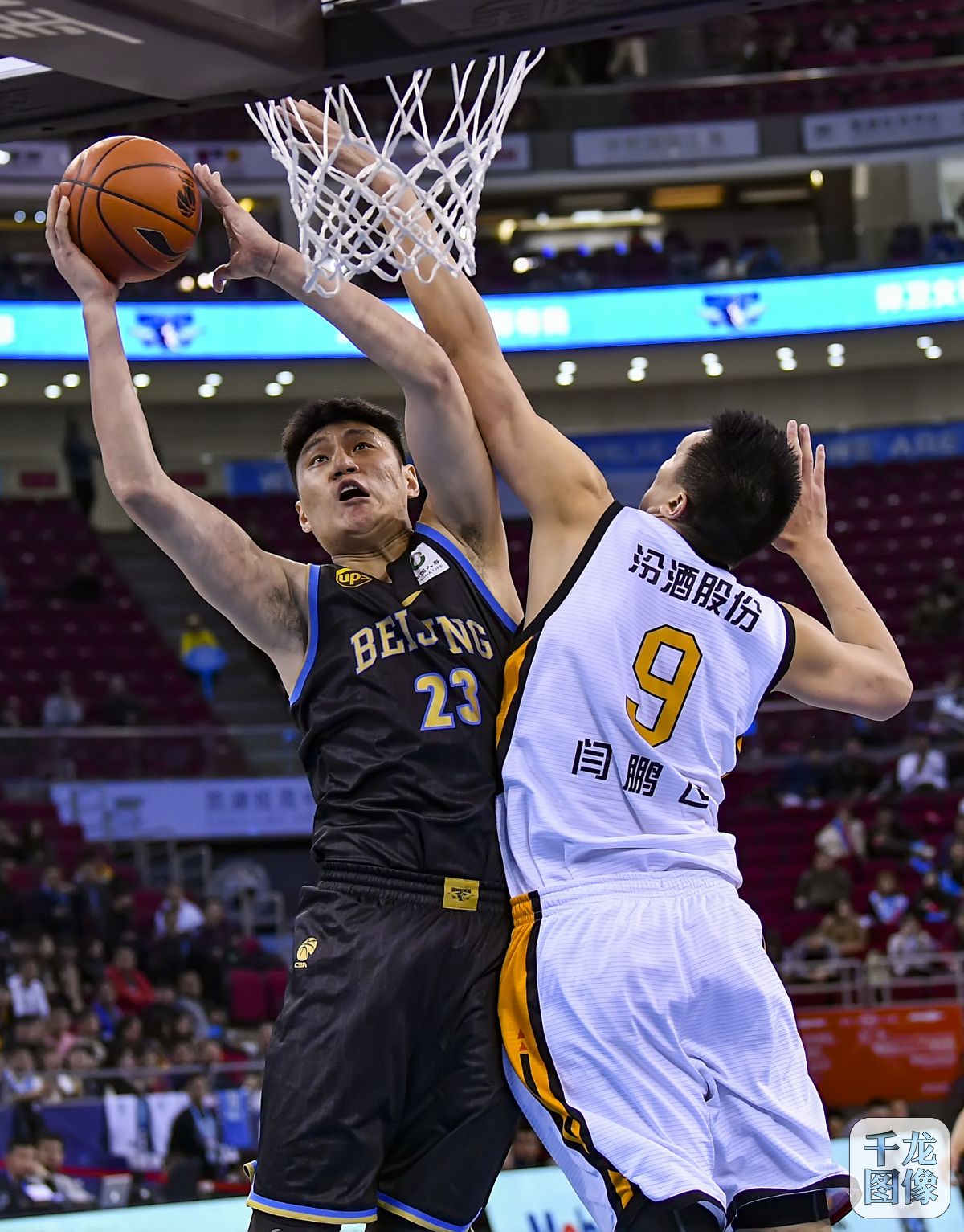 罗那后的适 罗那后的适