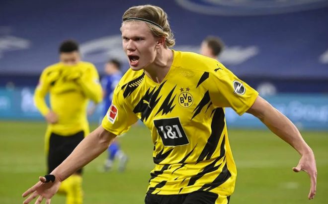 与有组织的 与有组织的